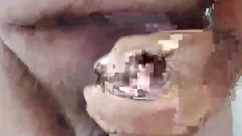 bigdforfun2nite online show from 10/15/25, 11:16