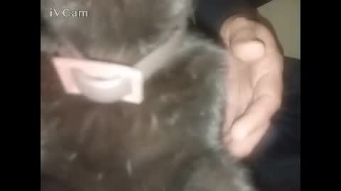 Big online show from 02/22/26, 02:34