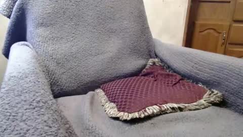 Snapshot of bigdickdaddy567130413 chatting on 12/29/24, 02:42 bigdickdaddy567130413 online show from 12/29/24, 02:42