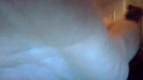 Snapshot of bigdickdaddy7201979564868 chatting on 09/22/25, 07:10 bigdickdaddy7201979564868 online show from 09/22/25, 07:10