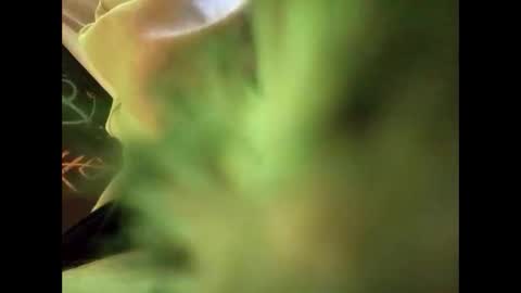 Snapshot of bigdickguy69690 chatting on 02/22/25, 01:11 bigdickguy69690 online show from 02/22/25, 01:11