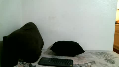 Snapshot of bigdickjimmywill chatting on 07/04/26, 08:31 CAJEinc online show from 07/04/26, 08:31