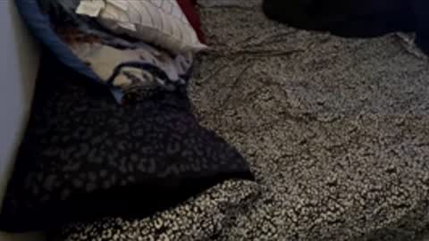 Snapshot of bigdickpapishampoo chatting on 11/28/25, 06:21 bigdickpapishampoo online show from 11/28/25, 06:21