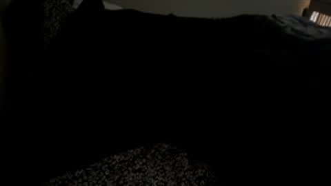 Snapshot of bigdickpapishampoo chatting on 12/01/25, 02:00 bigdickpapishampoo online show from 12/01/25, 02:00