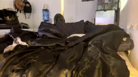 Snapshot of bigdickpapishampoo chatting on 02/04/26, 06:47 bigdickpapishampoo online show from 02/04/26, 06:47