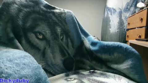 Snapshot of bigdickyduby chatting on 09/11/25, 01:28 George Forest Dickyduby on all Socials online show from 09/11/25, 01:28