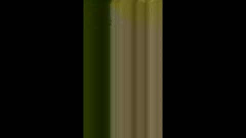 bigdog9thick online show from 04/03/26, 11:41