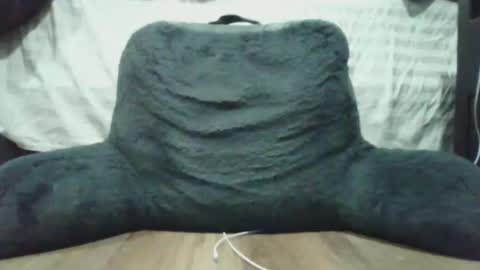 Snapshot of bigdyllpickle chatting on 01/08/26, 02:47 bigdyllpickle online show from 01/08/26, 02:47