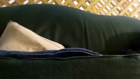 biggestboiiii online show from 06/07/26, 10:13