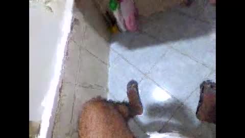 bighdasehzada online show from 04/19/26, 08:24