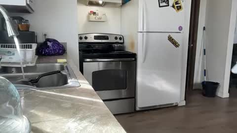 Daniel  Noelia online show from 11/27/25, 08:55