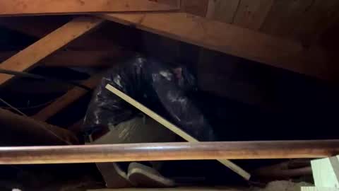 bigjim6646 online show from 09/21/25, 03:02