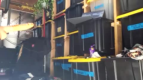 Snapshot of bigmanaround9 chatting on 12/15/25, 08:35 bigmanaround9 online show from 12/15/25, 08:35