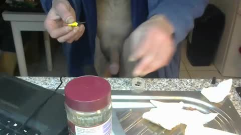 ...... online show from 01/22/25, 02:37