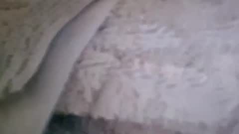 Snapshot of bigsssnake69 chatting on 07/09/26, 10:47 bigsssnake69 online show from 07/09/26, 10:47