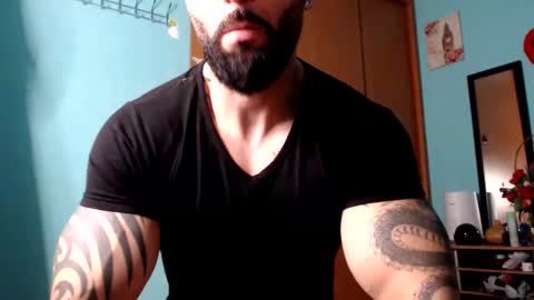 BigStallion online show from 12/08/24, 11:51