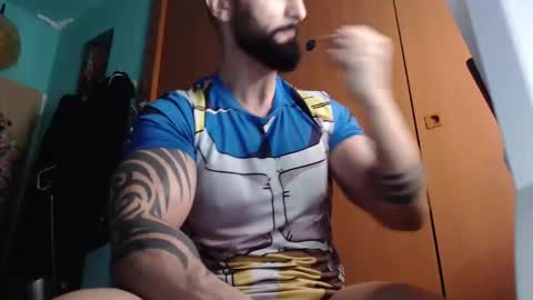 BigStallion online show from 04/28/26, 10:59