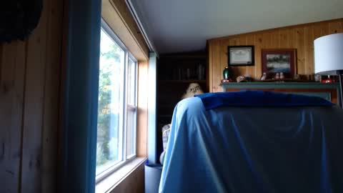 bigthicksatisfying2 online show from 09/17/25, 08:32