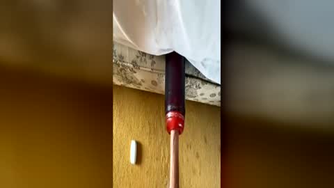 bigukphallus online show from 06/14/26, 12:51