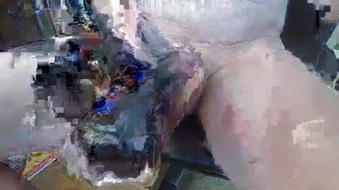 bigukphallus online show from 07/10/26, 10:29