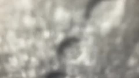 Snapshot of biguywithtoys chatting on 12/22/24, 06:37 biguywithtoys online show from 12/22/24, 06:37