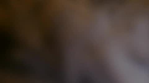 Snapshot of billyhuey12 chatting on 12/04/24, 06:55 NUMROUNO MACK online show from 12/04/24, 06:55