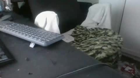 Snapshot of billymcn chatting on 02/15/26, 03:20 billymcn online show from 02/15/26, 03:20