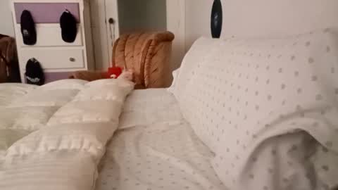 Bill online show from 09/19/25, 08:05