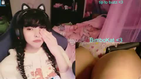 BimboCat online show from 07/01/26, 10:53