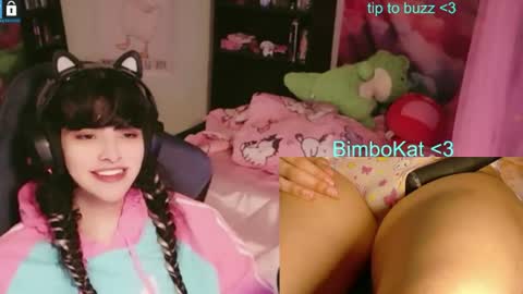 BimboCat online show from 07/07/26, 08:24