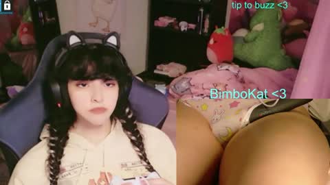 BimboCat online show from 07/10/26, 11:18