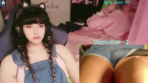 BimboCat online show from 07/31/26, 09:58