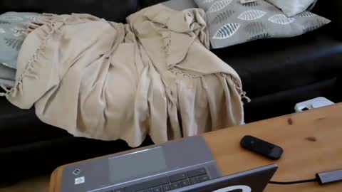 bindmedown online show from 01/17/25, 10:55