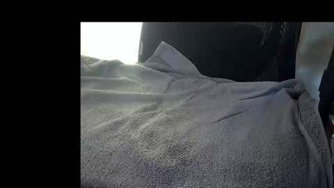 bislider online show from 11/12/25, 09:10