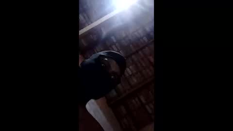 bittencourtgabriel online show from 04/22/26, 03:09