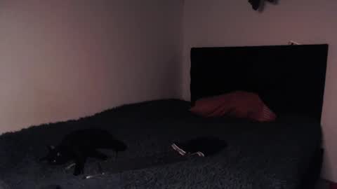 Snapshot of black_firex chatting on 10/08/25, 09:34 black_firex online show from 10/08/25, 09:34