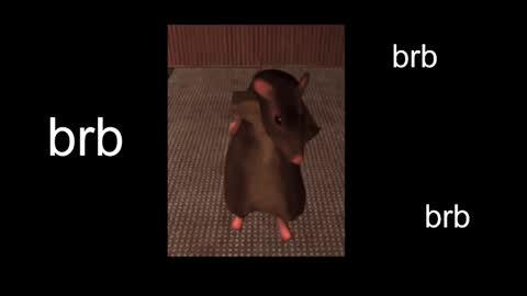  Black Kittie    Wednesday - 1300 - 1900 GMT help me get 100 thumbs up online show from 02/13/25, 11:06