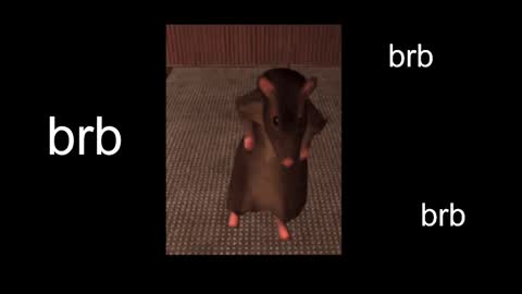  Black Kittie    Wednesday - 1300 - 1900 GMT help me get 100 thumbs up online show from 02/27/25, 02:00