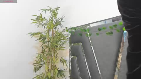 B L A C K  R O S E  online show from 02/10/25, 11:46