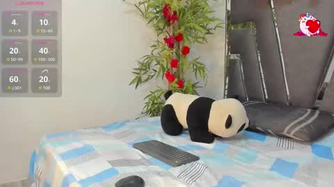 B L A C K  R O S E  online show from 02/26/25, 11:41