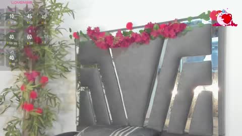 B L A C K  R O S E  online show from 02/27/25, 11:31