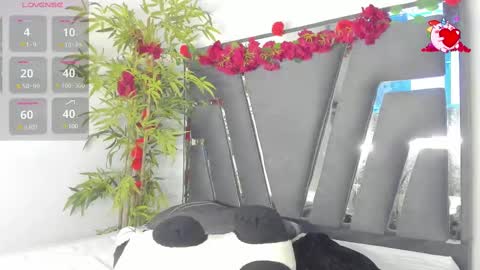 B L A C K  R O S E  online show from 03/06/25, 11:47