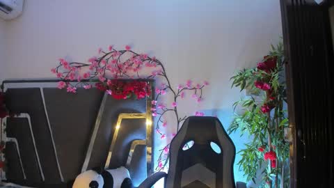 B L A C K  R O S E  online show from 11/09/25, 11:19