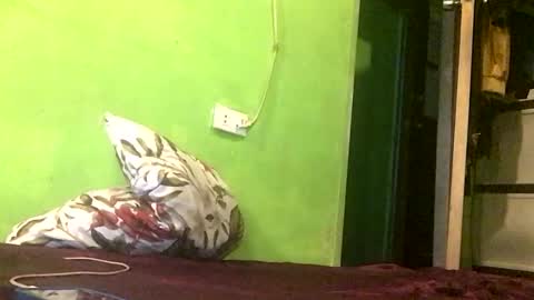 Crystal online show from 04/18/26, 07:58