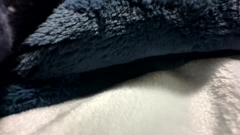 blackhammer8787 online show from 12/08/24, 06:43