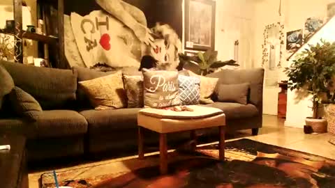 blackriches96 online show from 02/14/26, 08:33