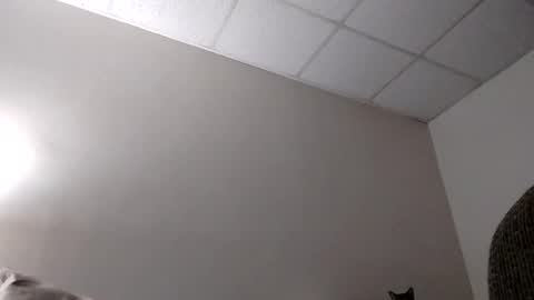 blahblam420 online show from 02/05/25, 07:50