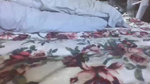 blame1269 online show from 10/27/25, 07:07