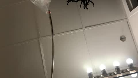 Snapshot of blastt4meee chatting on 01/07/26, 07:27 blastt4meee online show from 01/07/26, 07:27