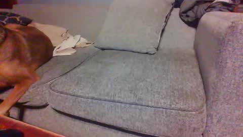 blaw_1321 online show from 04/14/26, 07:25